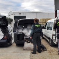 AUGC denuncia una oleada de robos en campos extremeños