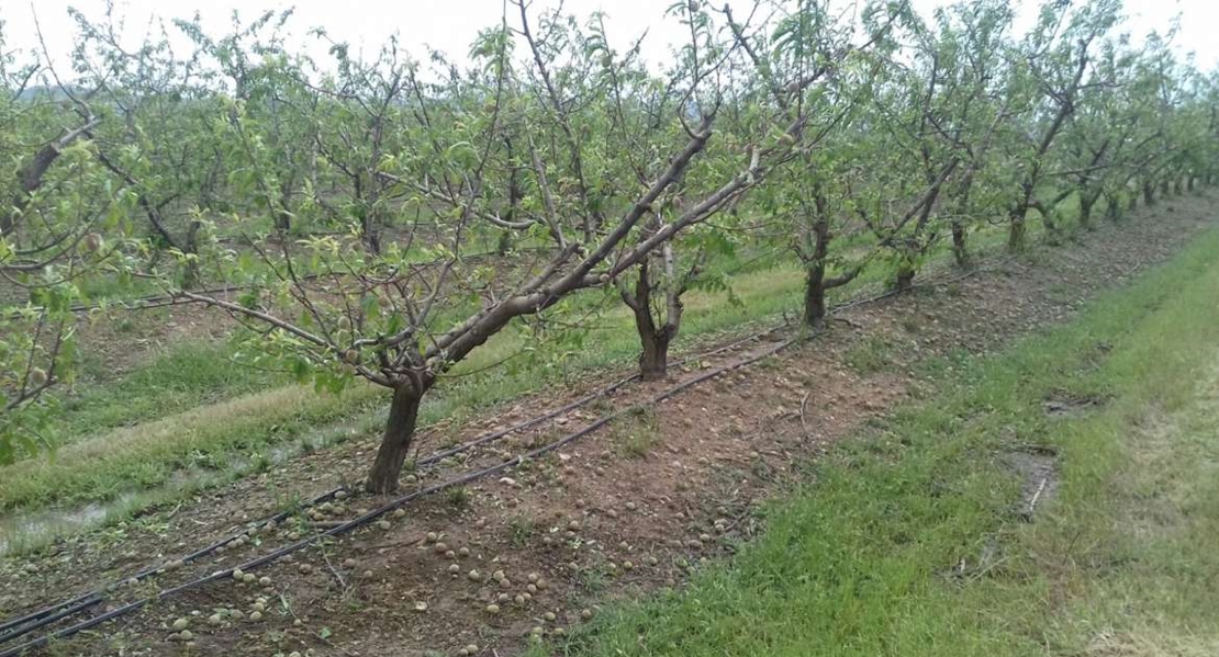 Los daños causados por el granizo se tendrán en cuenta en el IRPF