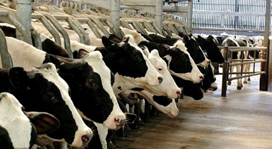 La Junta asegura que la prevalencia de la tuberculosis continúa bajando