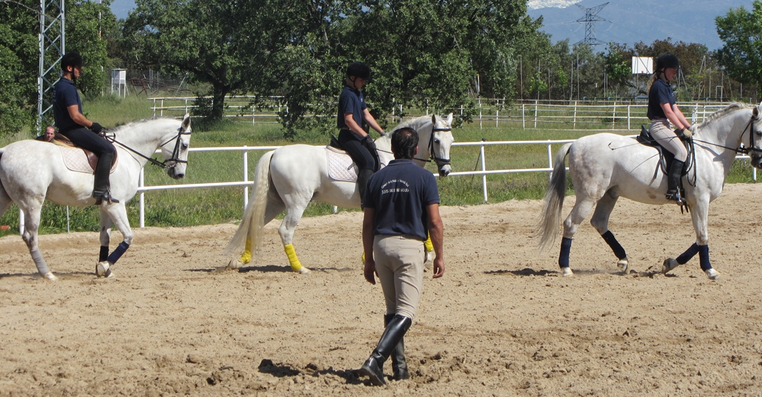 Un adolescente resulta herido tras caerse de un caballo