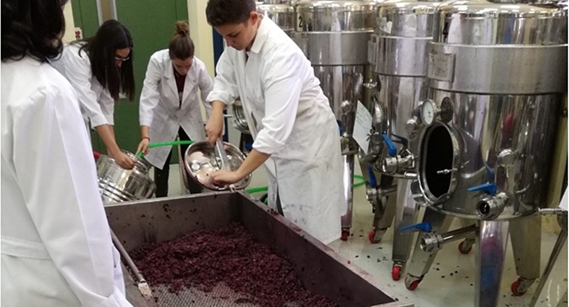 Premian a un vino hecho por estudiantes de la UEx