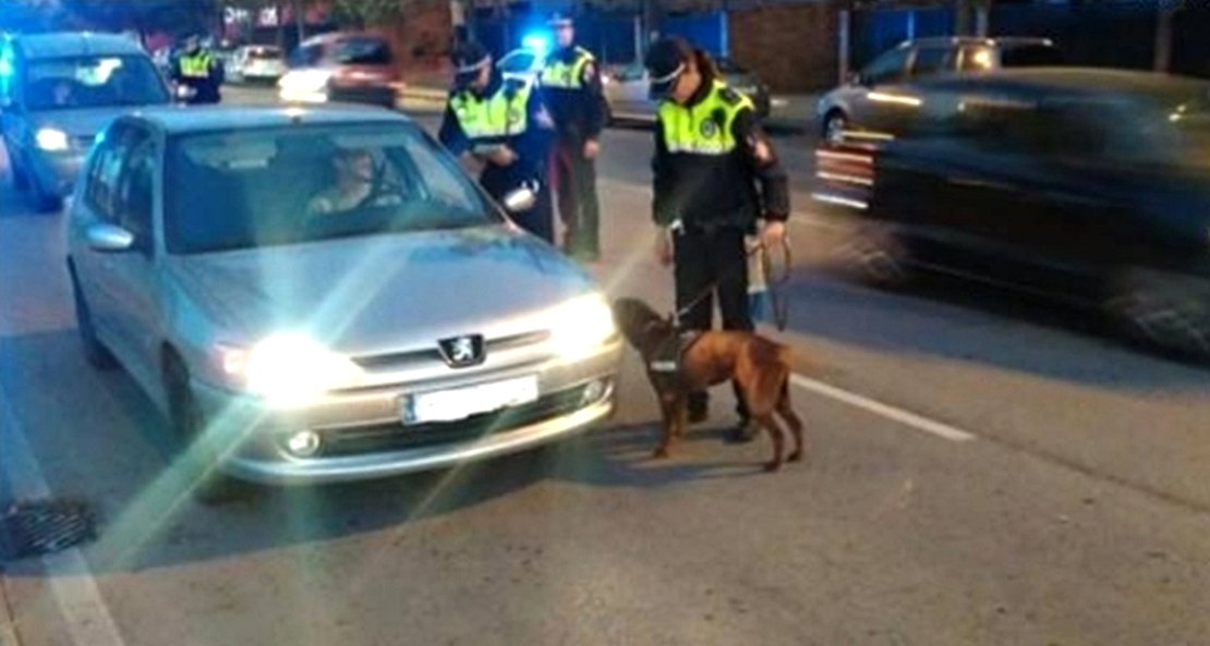 Circula sin luz, casi se estrella contra la Policía y se niega a pasar el test de alcoholemia