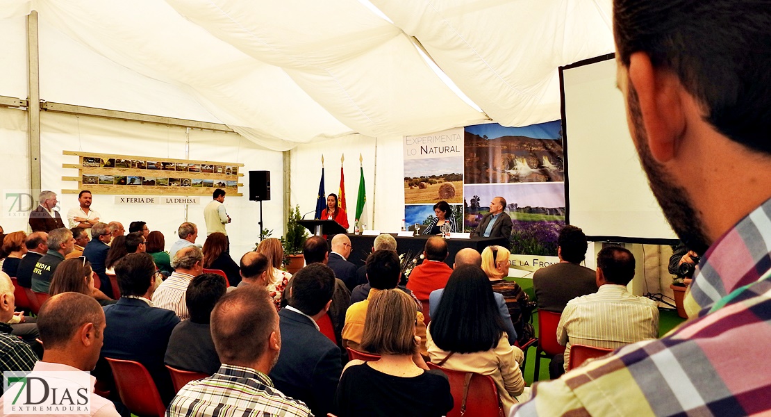 Imágenes de la inauguración de la X Feria de la Dehesa de Oliva de la Frontera