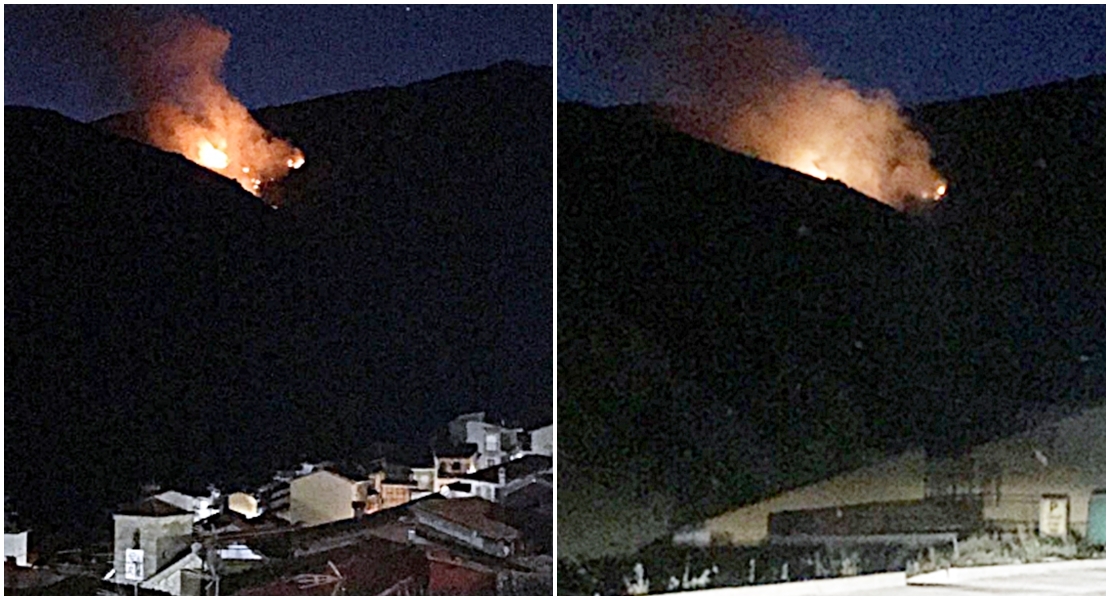 Activo un incendio forestal en la Vera