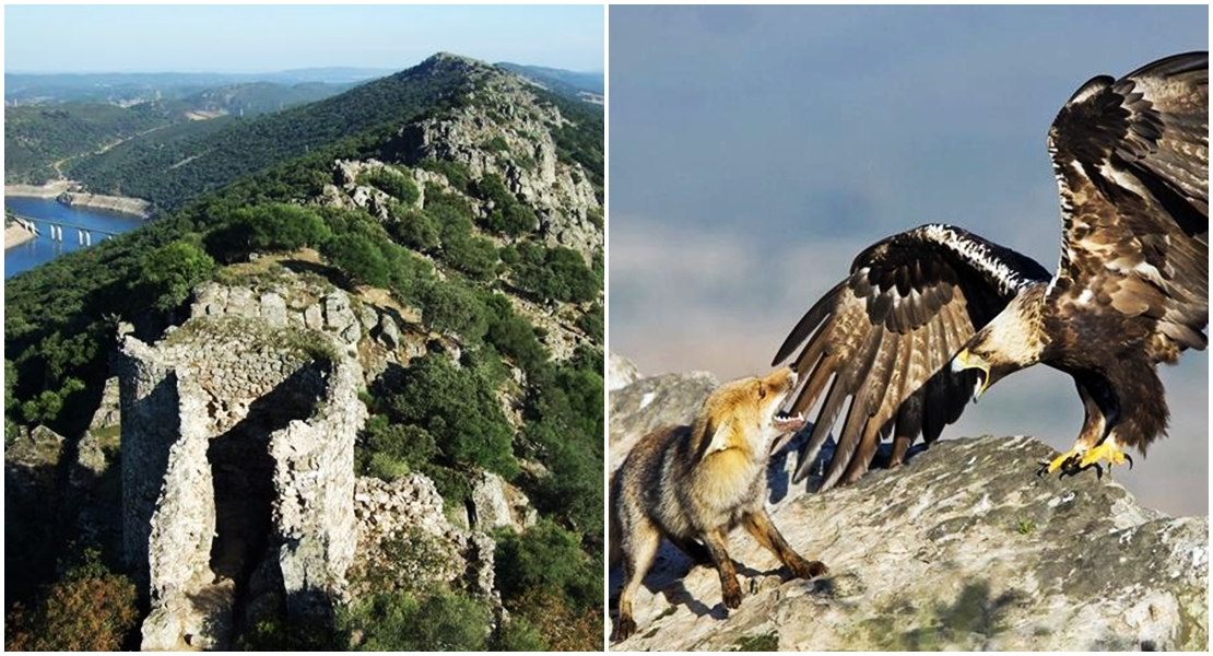 Monfragüe celebra el Día Mundial de las Aves Migratorias