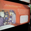 Una exposición repasa la historia de la Asamblea