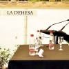 Imágenes de la inauguración de la X Feria de la Dehesa de Oliva de la Frontera