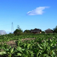 Más de 57.800 agricultores y ganaderos han presentado ayudas de la PAC
