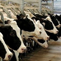 La Junta asegura que la prevalencia de la tuberculosis continúa bajando