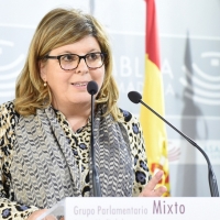 Domínguez: “La demora de Vergeles con el Madex provoca déficit en las asociaciones”