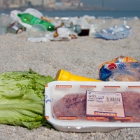 España tira comida a la basura por no saber comprarla ni conservarla