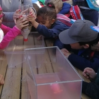 La Confederación del Tajo, un aula de la naturaleza