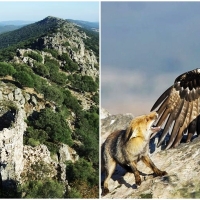 Monfragüe celebra el Día Mundial de las Aves Migratorias