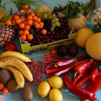 500 escolares participarán en el I Encuentro de consumo de frutas y hortalizas