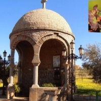 Este domingo podrás catar vinos y productos ibéricos mientras observas a las aves