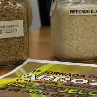 Palazuelo invita a disfrutar del arroz con aves