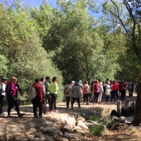 Centenares de personas visitan el puente de Gévora