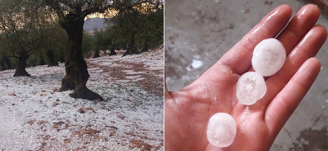 El granizo ha provocado daños en miles de hectáreas de campo extremeñas