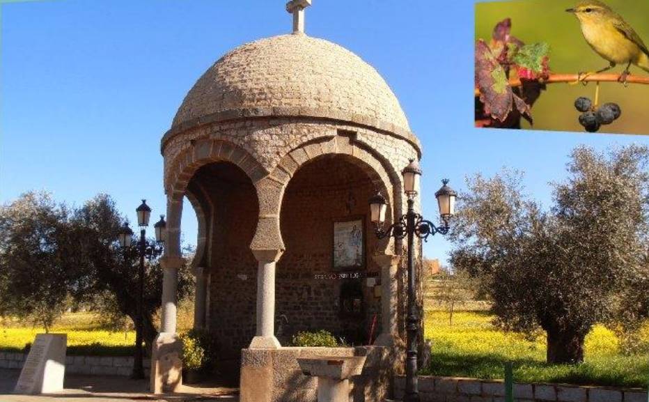 Este domingo podrás catar vinos y productos ibéricos mientras observas a las aves