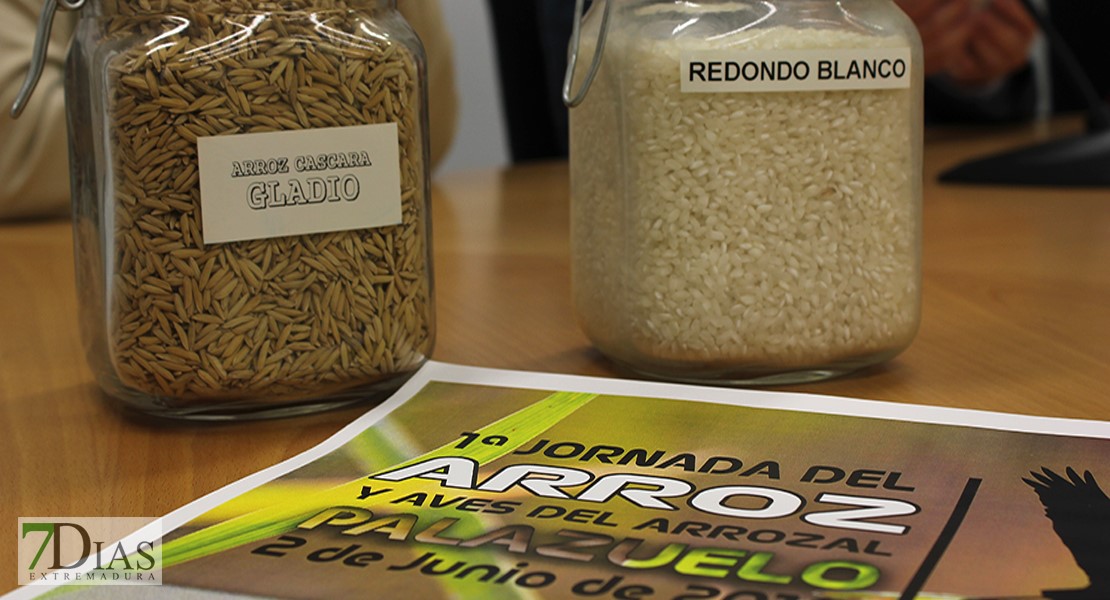 Palazuelo invita a disfrutar del arroz con aves