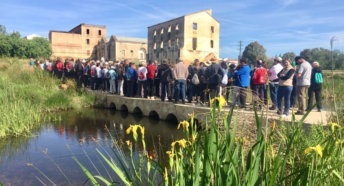 Centenares de personas visitan el puente de Gévora