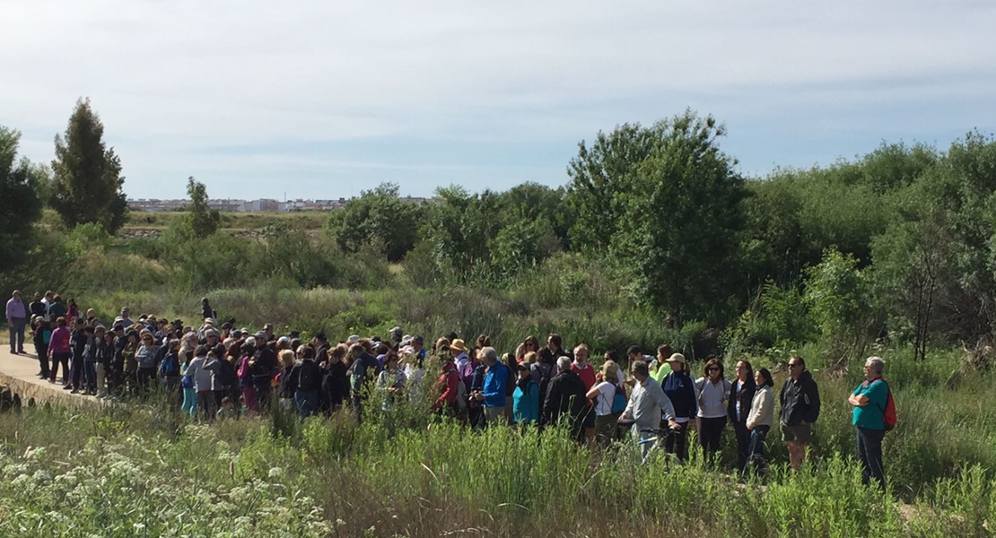 Centenares de personas visitan el puente de Gévora