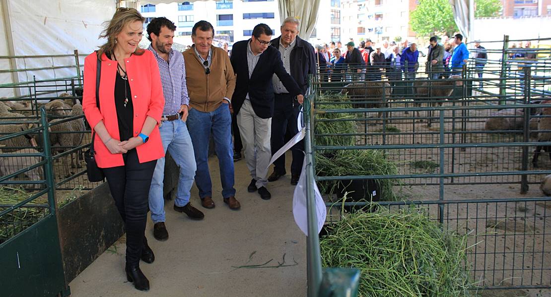 Valencia de Alcántara inaugura la I exposición ganadera en San Isidro