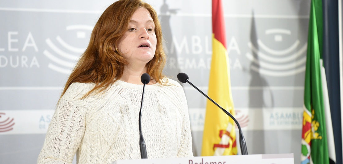 Podemos pide más inspecciones para luchar contra los establecimientos turísticos irregulares