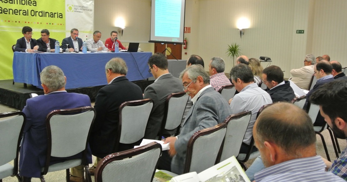 Navarro dice que la nueva Ley de Cooperativas dará mayor flexibilidad a las entidades