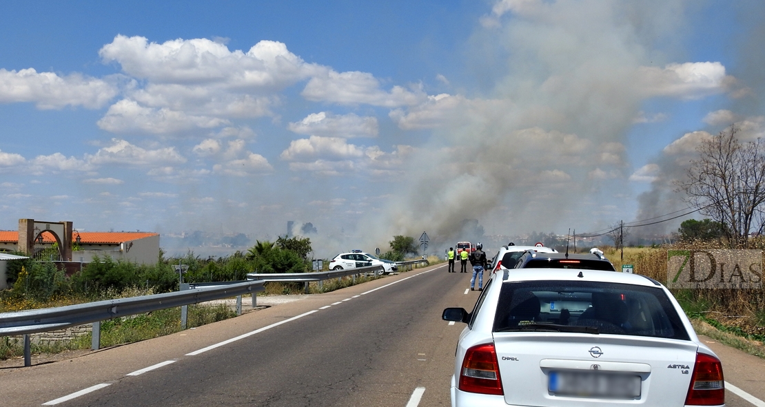 Primer incendio forestal de la temporada, entre Badajoz y Olivenza