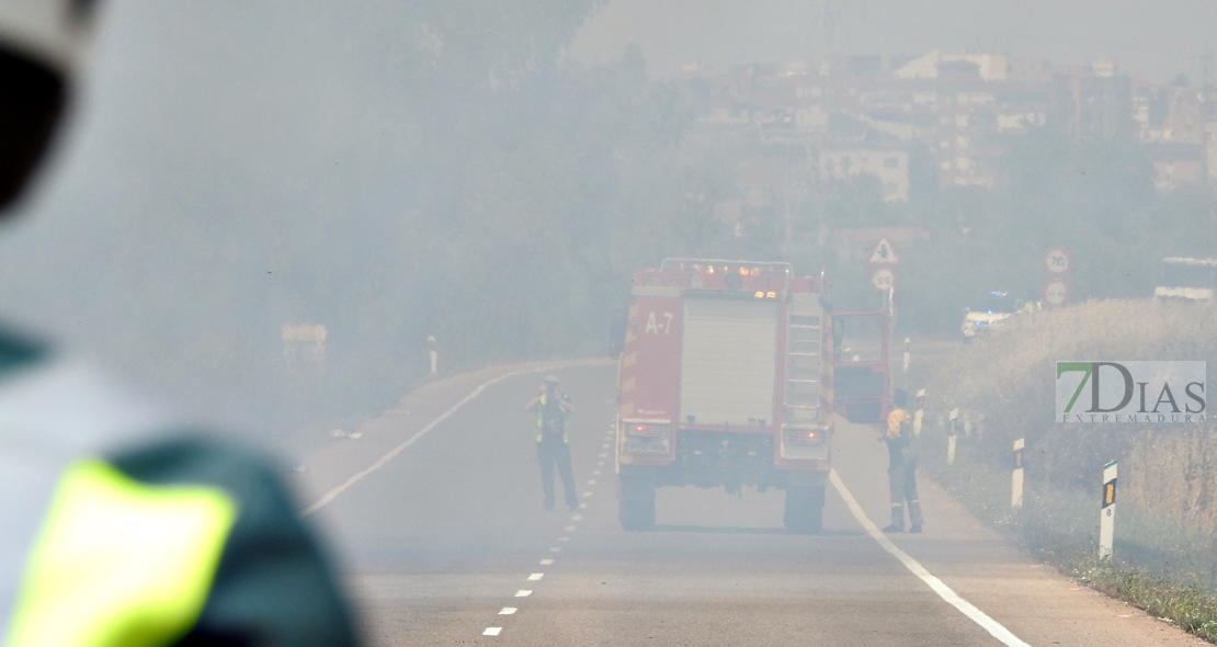 Primer incendio forestal de la temporada, entre Badajoz y Olivenza