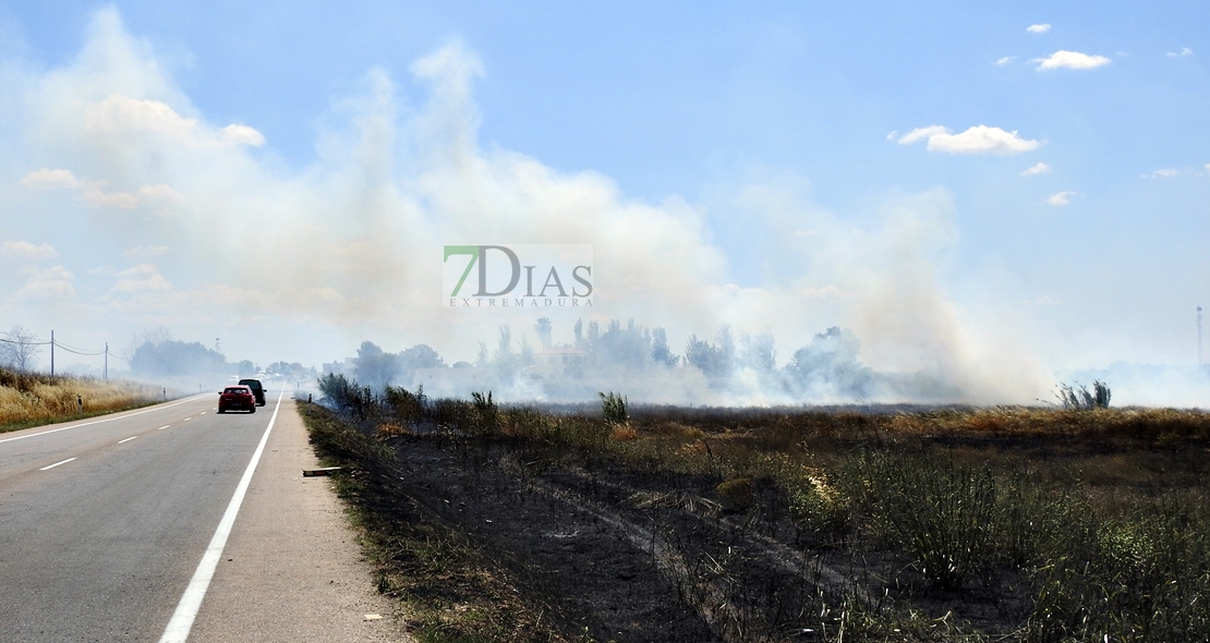 Primer incendio forestal de la temporada, entre Badajoz y Olivenza