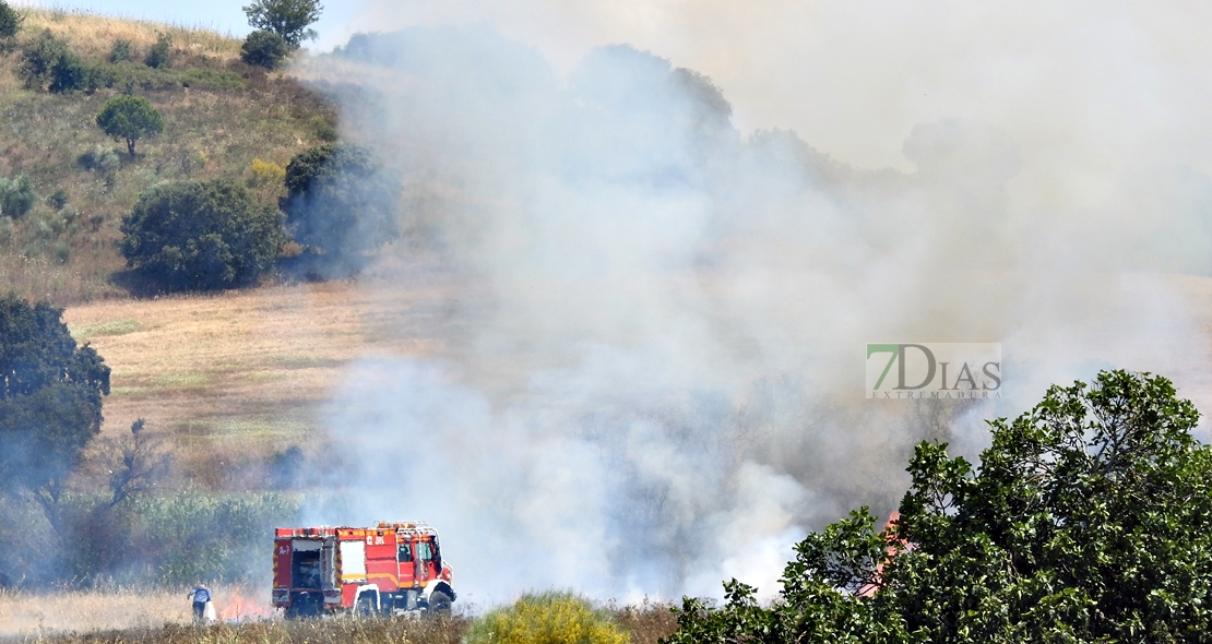 Primer incendio forestal de la temporada, entre Badajoz y Olivenza