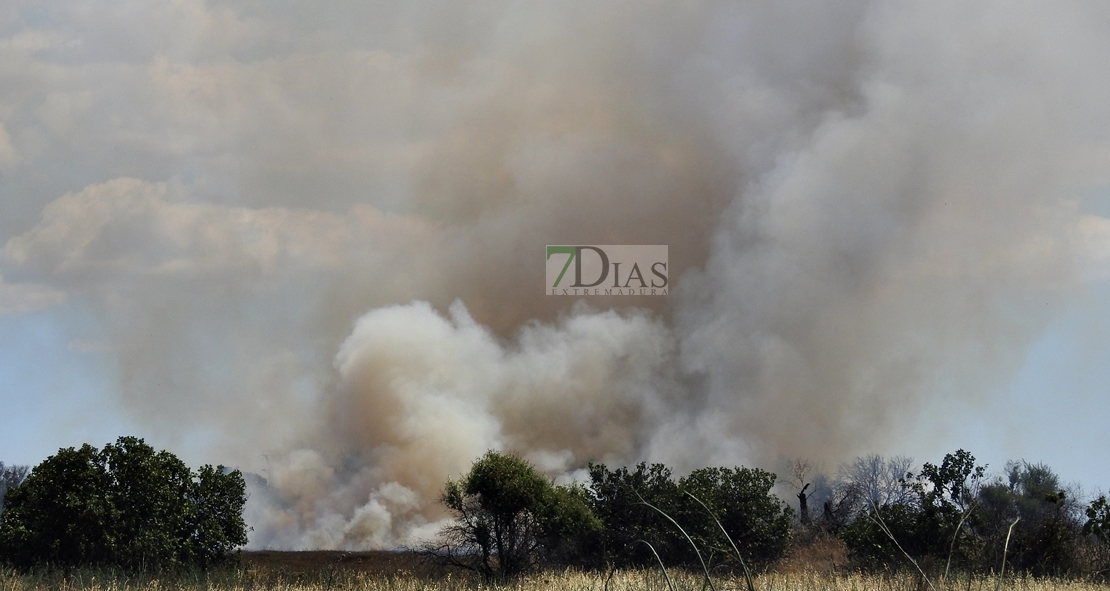 Primer incendio forestal de la temporada, entre Badajoz y Olivenza