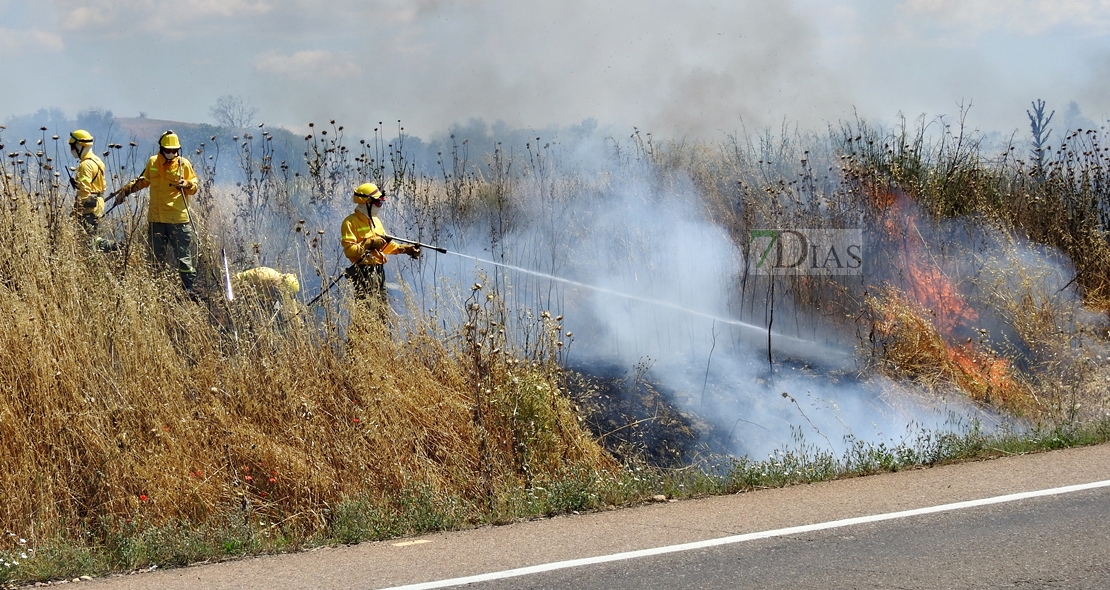 Primer incendio forestal de la temporada, entre Badajoz y Olivenza