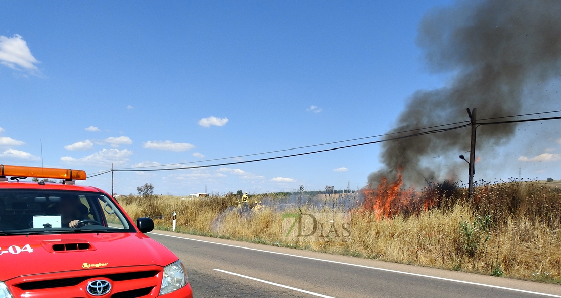 Primer incendio forestal de la temporada, entre Badajoz y Olivenza