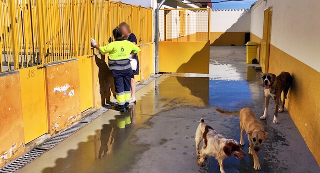 Si no hay adopciones, habrá sacrificios en la Perrera Municipal