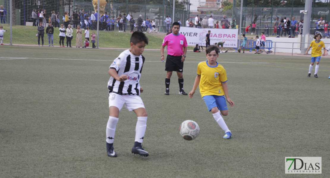 Imágenes de la 1ª jornada del VII Mundialito de Clubes