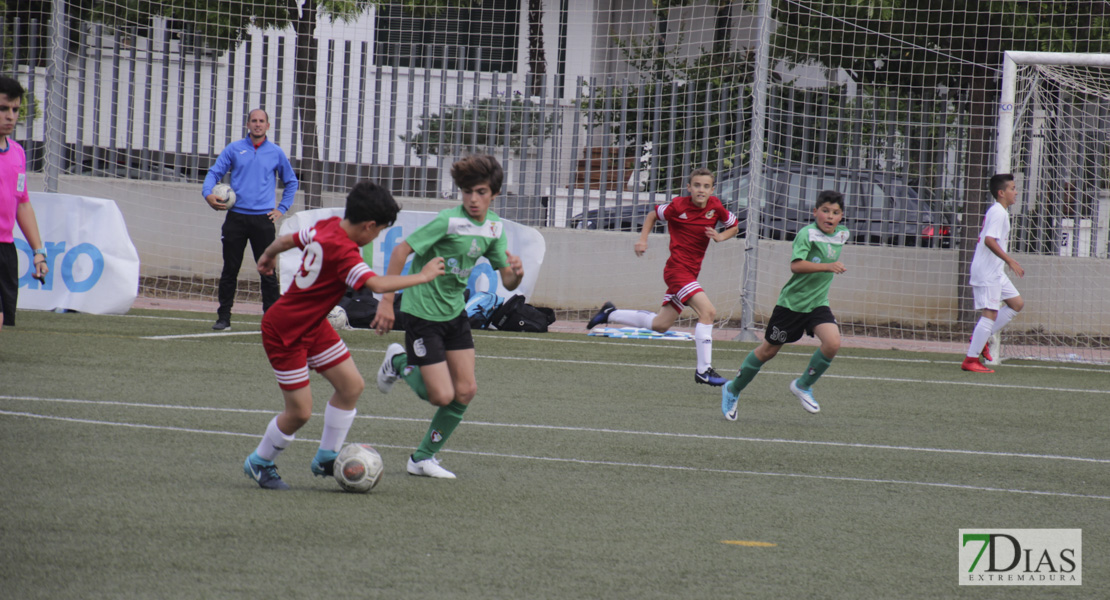 Imágenes de la 1ª jornada del VII Mundialito de Clubes