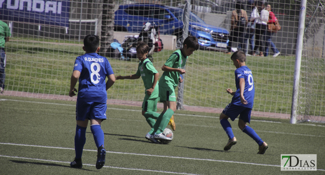 Imágenes de la 2ª jornada del VII Mundialito de Clubes