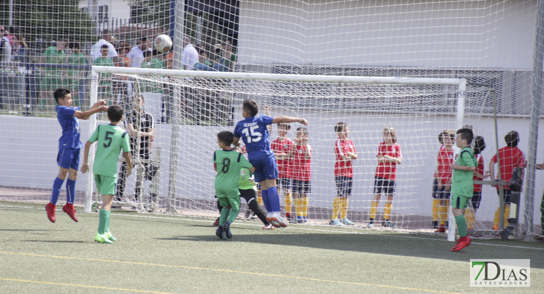 Imágenes de la 2ª jornada del VII Mundialito de Clubes