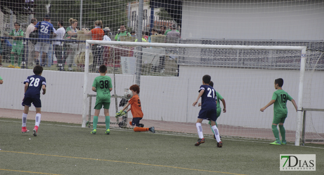 Imágenes de la 2ª jornada del VII Mundialito de Clubes