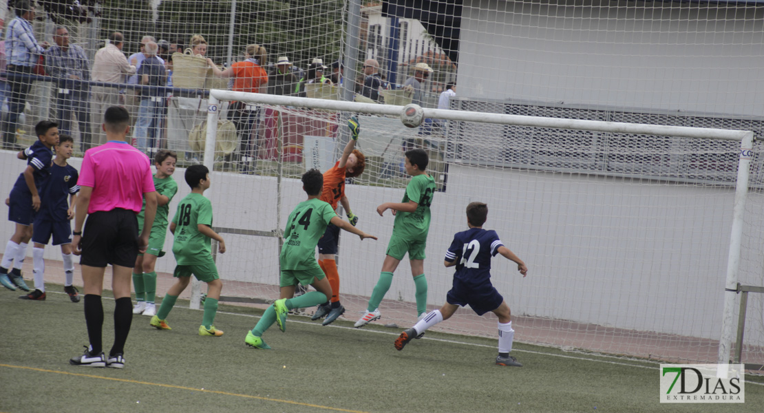 Imágenes de la 2ª jornada del VII Mundialito de Clubes