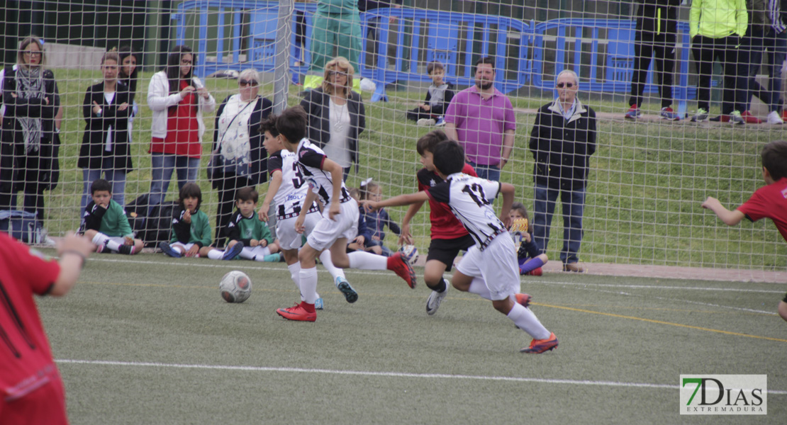 Imágenes de la 3ª jornada del VII Mundialito de Clubes