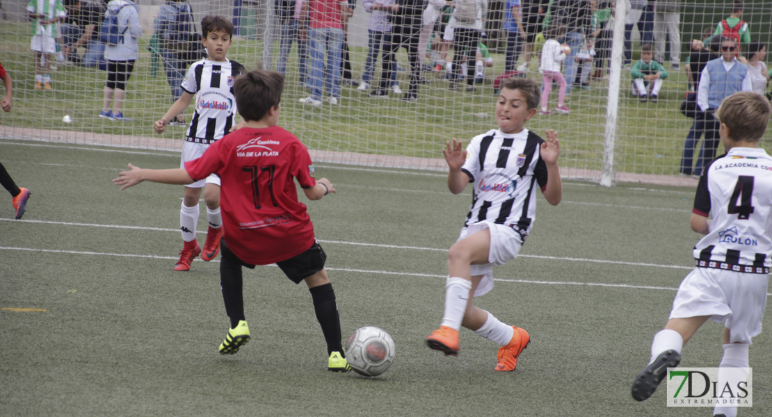 Imágenes de la 3ª jornada del VII Mundialito de Clubes