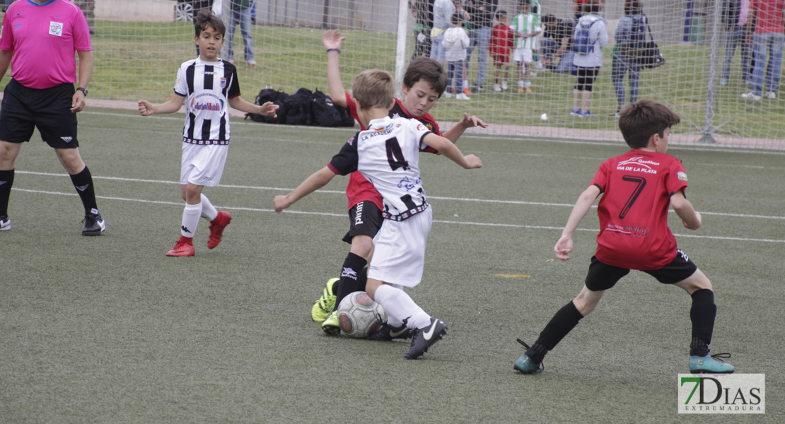 Imágenes de la 3ª jornada del VII Mundialito de Clubes