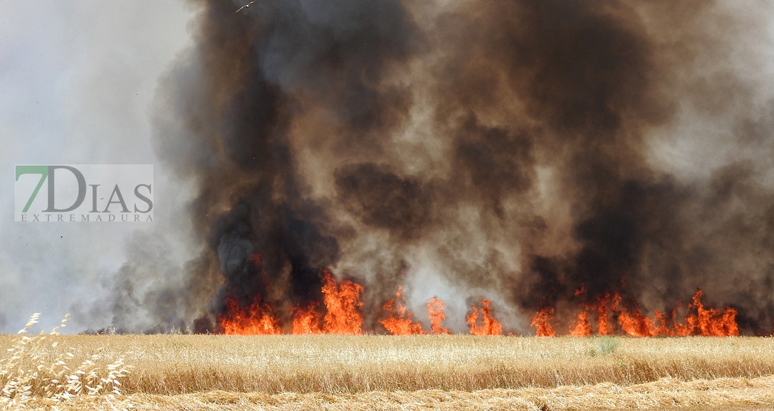 Un incendio amenaza a la urbanización Río Caya (Badajoz)