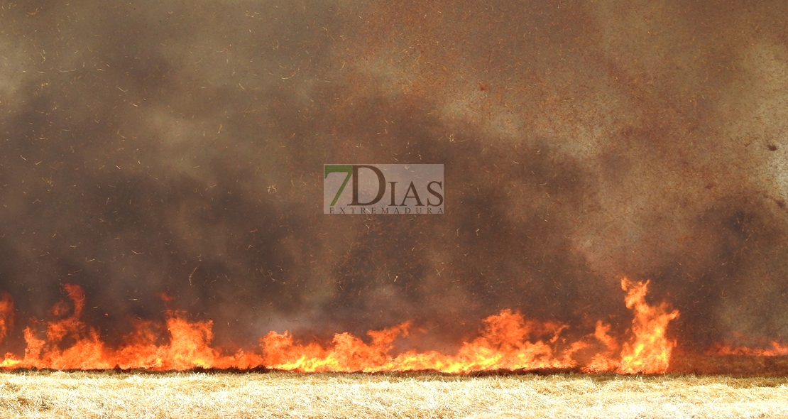 Un incendio amenaza a la urbanización Río Caya (Badajoz)