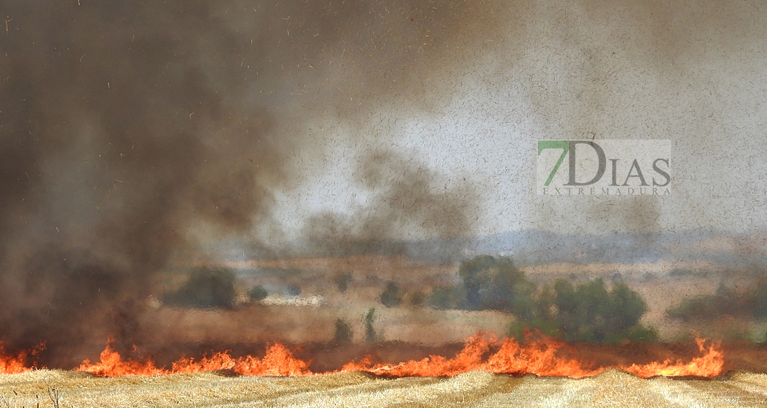 Un incendio amenaza a la urbanización Río Caya (Badajoz)