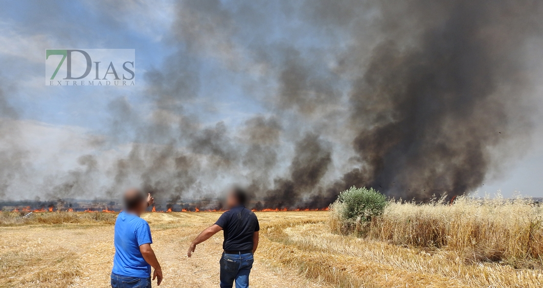 Un incendio amenaza a la urbanización Río Caya (Badajoz)